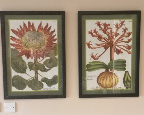 Charles Suite decor