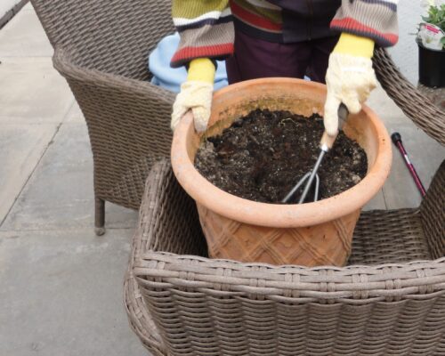 Gardening